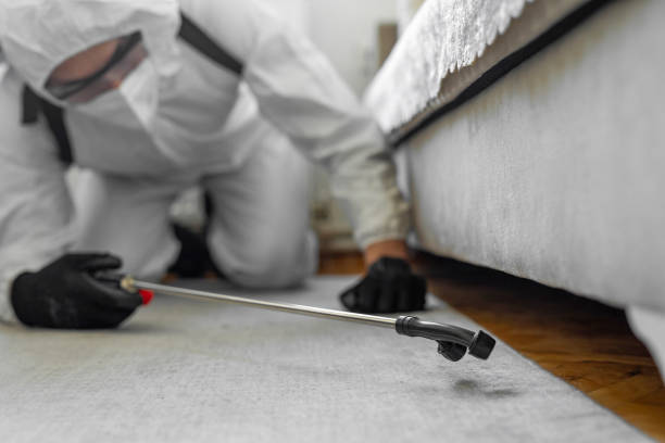 Professional Bed Bug Control technician working in Mississippi State, MS