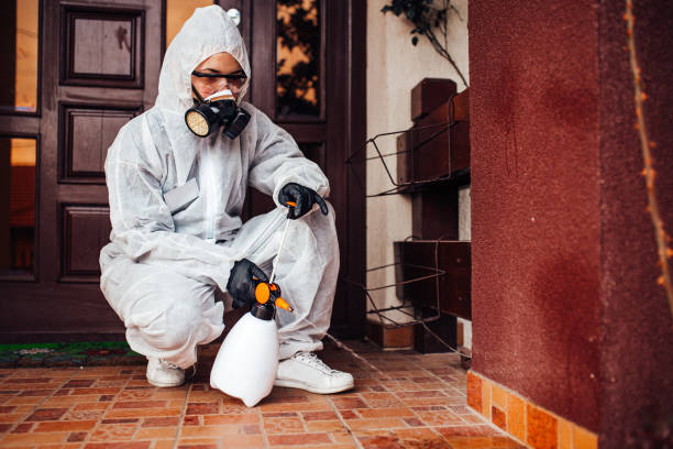 Reliable Bed Bug Control contractor in Mississippi State, MS by Nex Pest Control