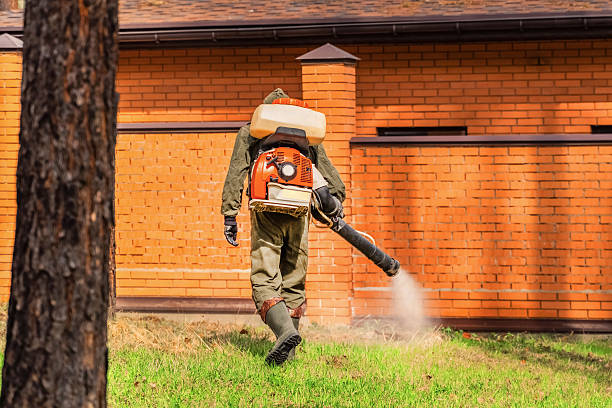 Trusted Rodent Control service in Mississippi State, MS - Nex Pest Control